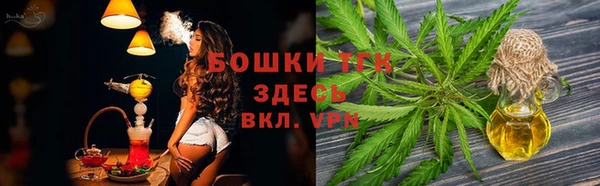 шишки Баксан