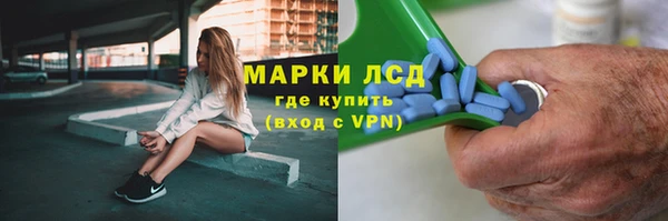 ПСИЛОЦИБИНОВЫЕ ГРИБЫ Беломорск