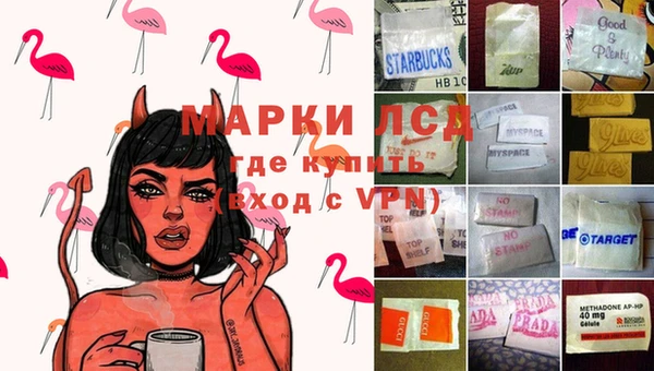 ПСИЛОЦИБИНОВЫЕ ГРИБЫ Беломорск
