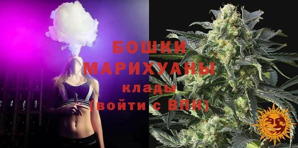 ПСИЛОЦИБИНОВЫЕ ГРИБЫ Беломорск