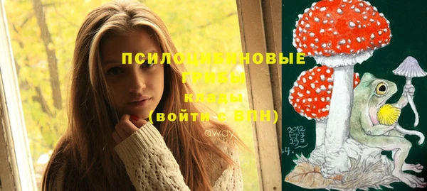 ПСИЛОЦИБИНОВЫЕ ГРИБЫ Беломорск