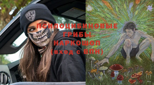 ПСИЛОЦИБИНОВЫЕ ГРИБЫ Беломорск