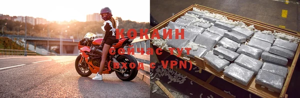 ПСИЛОЦИБИНОВЫЕ ГРИБЫ Беломорск