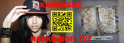 скорость Бийск