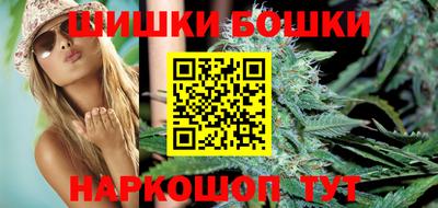 мдпв Гатчина