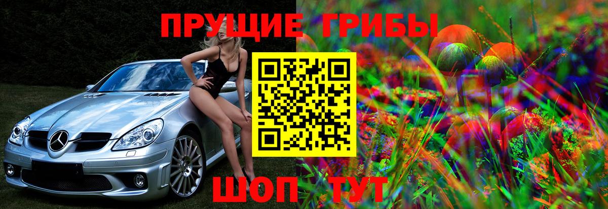 Галлюциногенные грибы GOLDEN TEACHER Гулькевичи