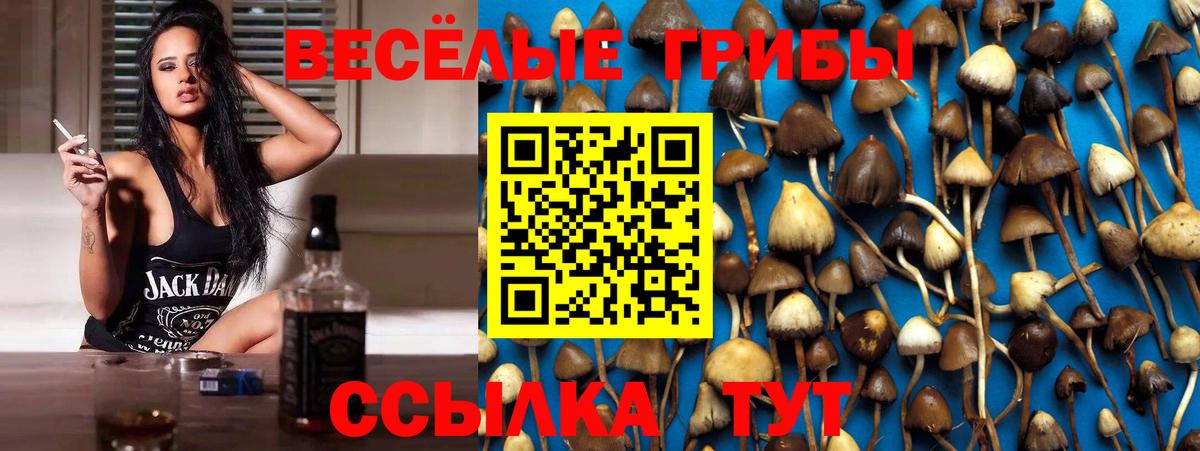 Псилоцибиновые грибы ЛСД  Вход с VPN  Псилоцибиновые грибы Psilocybe  Гулькевичи 